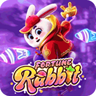 Rabbit 2